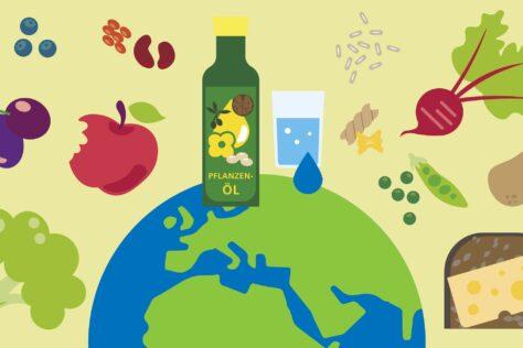 Grafik der Deutschen Gesellschaft für Ernährung mit einer Erdkugel und verschiedenen Lebensmitteln