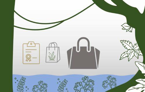 Unten in der grafischen Darstellung ist Wasser mit Algen zu sehen, an der Seite grüne Bäume und in der Mitte ein Zertifikat und zwei Einkaufstaschen.