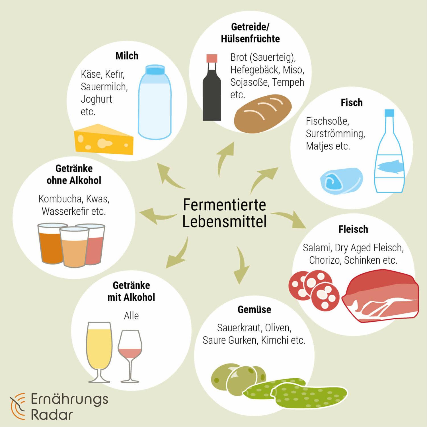 Die Grafik zeigt Beispiele für fermentierte Lebensmittel aus den Bereichen Milch, Getreide/Hülsenfrüchte, Fisch, Fleisch, Gemüse und Getränke .
