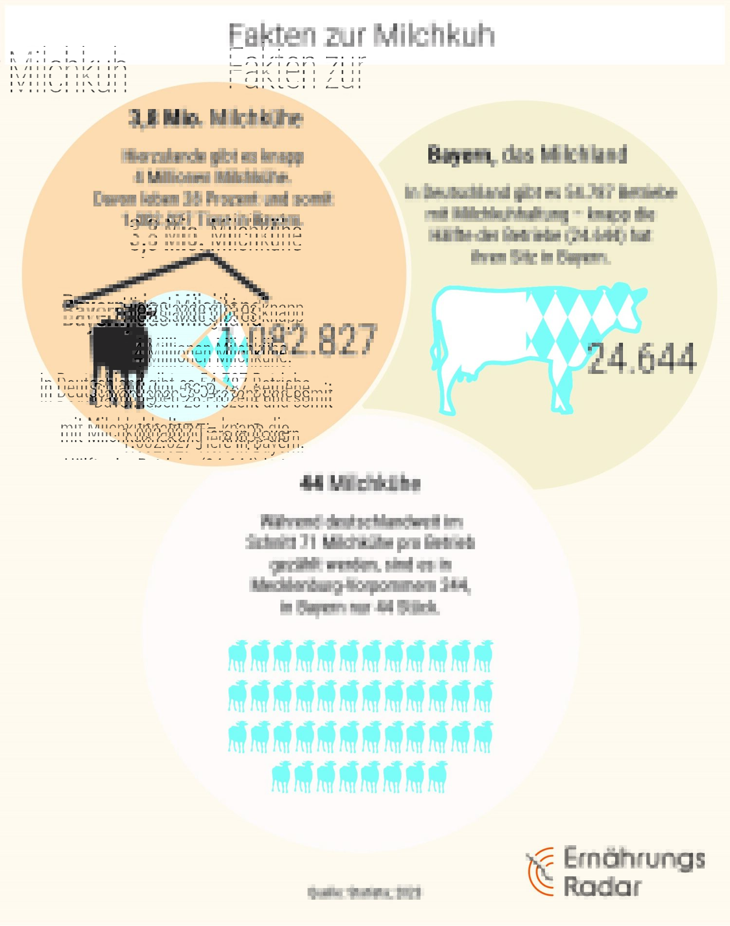 Infografik mit Fakten zur Milchkuh in Bayern und Deutschland: Anzahl Kühe, Betriebe und Durchschnitt pro Betrieb.