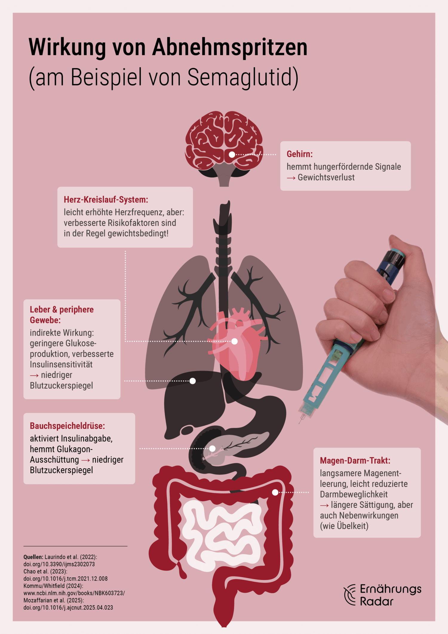 Infografik zur Wirkung von Abnehmspritzen im Körper