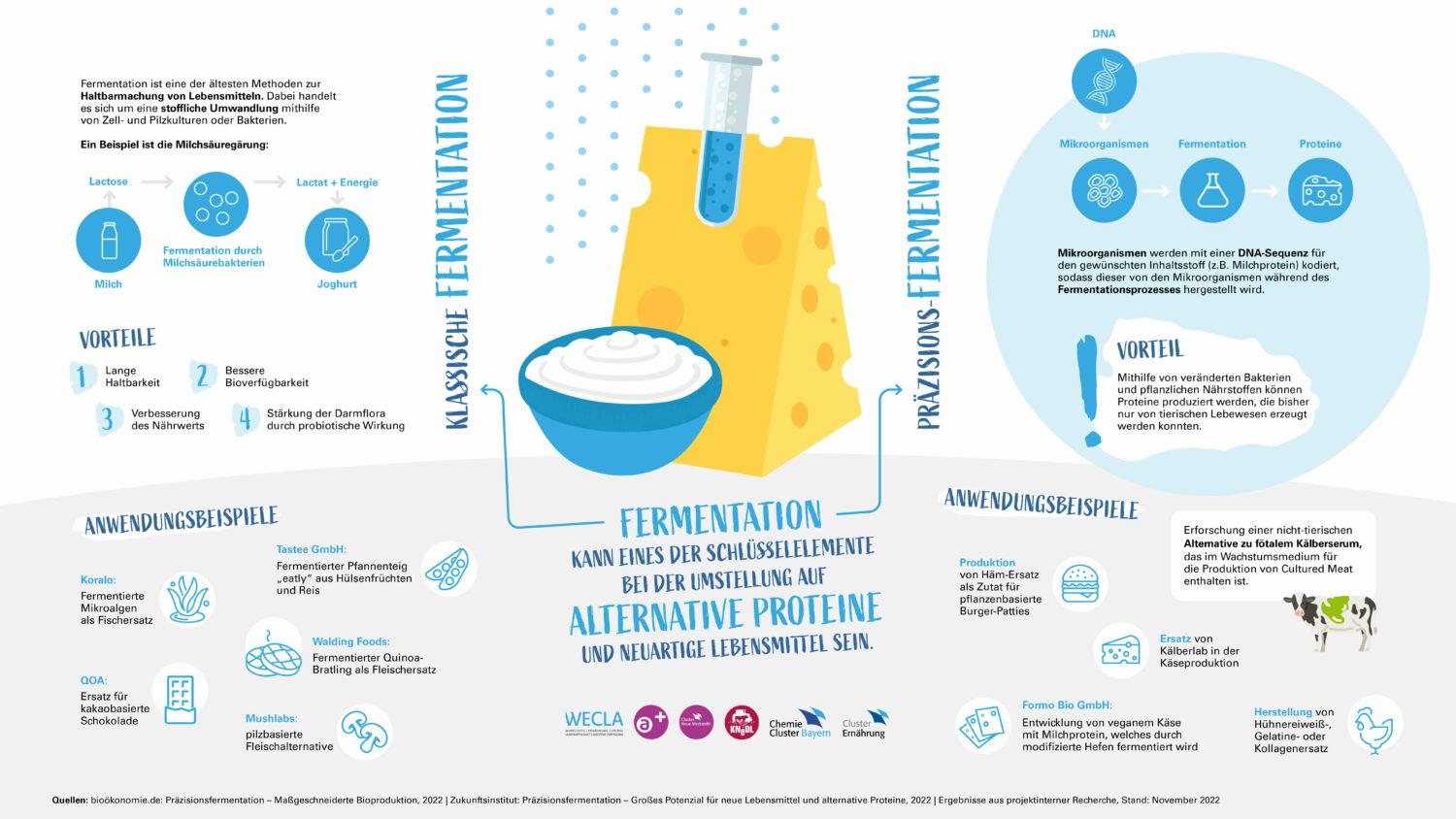 Gegenüberstellung von traditioneller Fermentation und Präzisionsfermentation: beide Techniken bieten vielversprechende Möglichkeiten in Bezug auf alternative Lebensmittel und neuartige Lebensmittel
