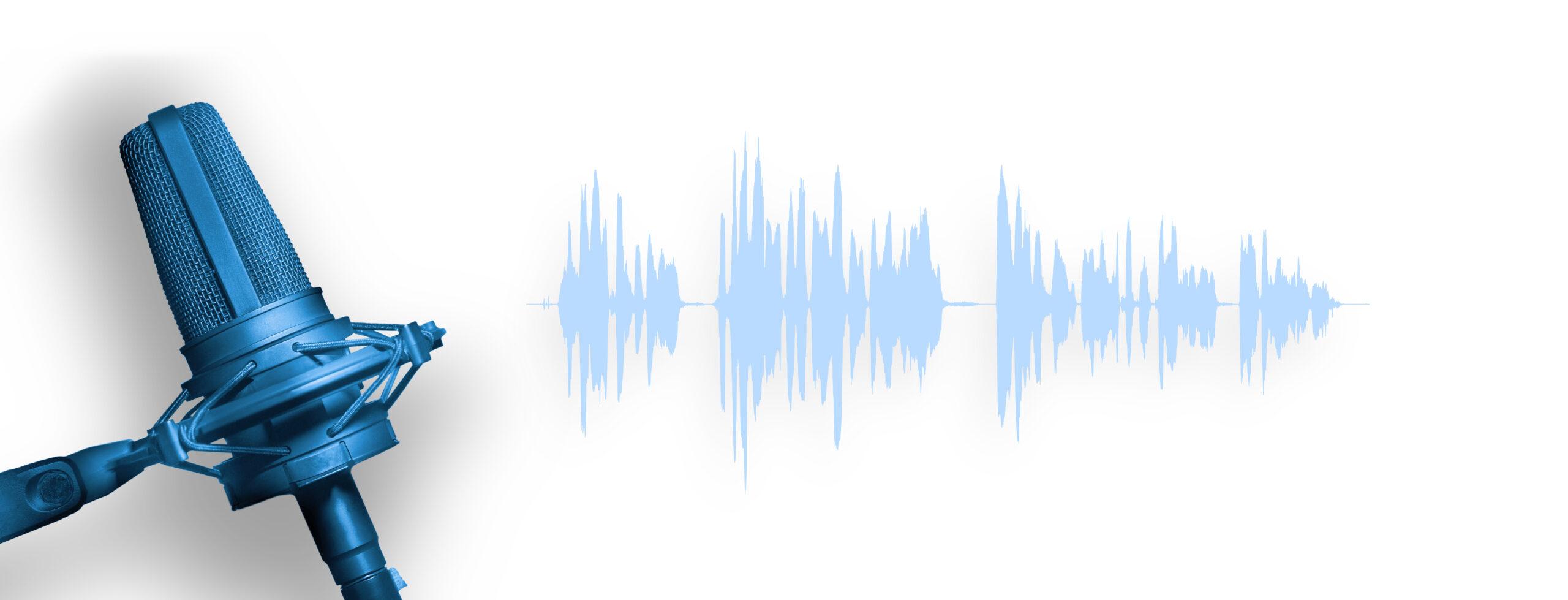Links ist ein blaues Mikrofon zu sehen und rechts daneben Soundwellen.