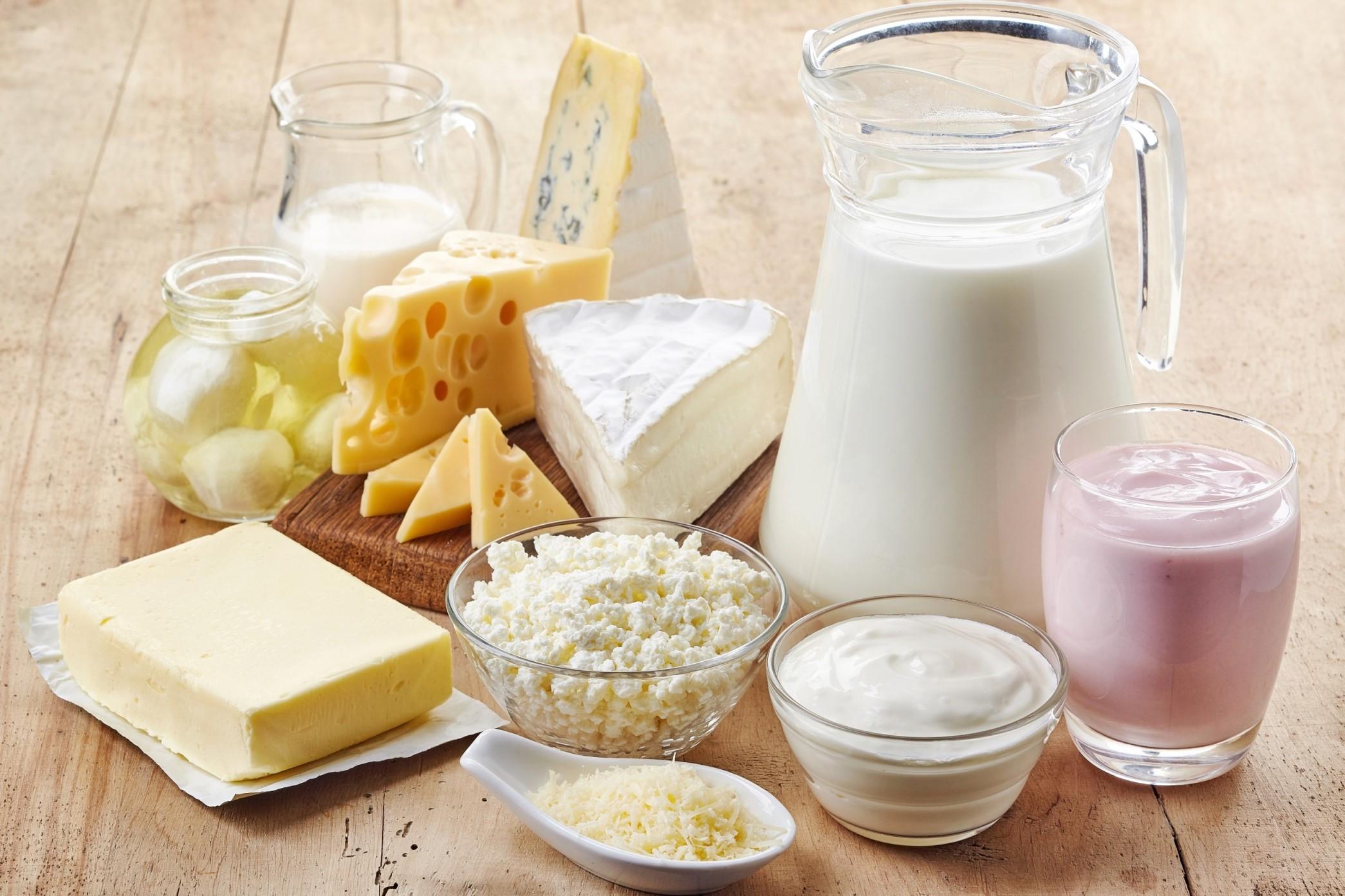 Verschiedene Milchprodukte stehen auf dem Tisch: ein Krug mit Milch, Joghurt, Frischkäse, Butter und verschiedene Hart- und Weichkäse