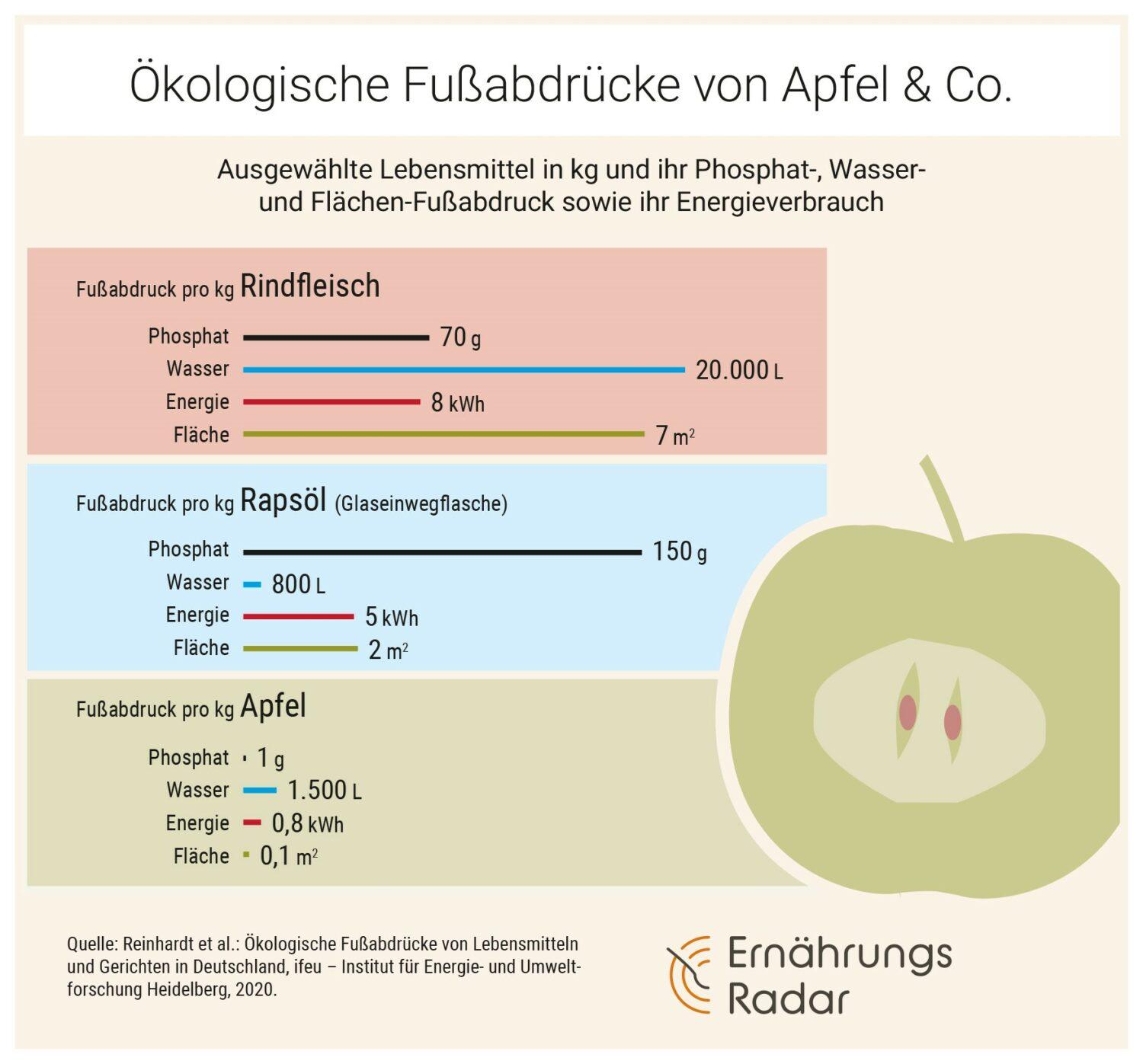 Die Grafik zeigt den jeweiligen Fußabdruck von Phosphat, Wasser und Fläche sowie den Energieaufwand für Äpfel, Rapsöl und Rindfleisch.