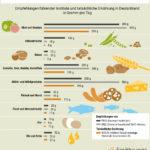 Die Grafik vergleicht die Empfehlungen der Planetary Health Diet mit denen der Deutschen Gesellschaft für Ernährung von 2024 und den tatsächlichen Verzehrsmengen in Deutschland.