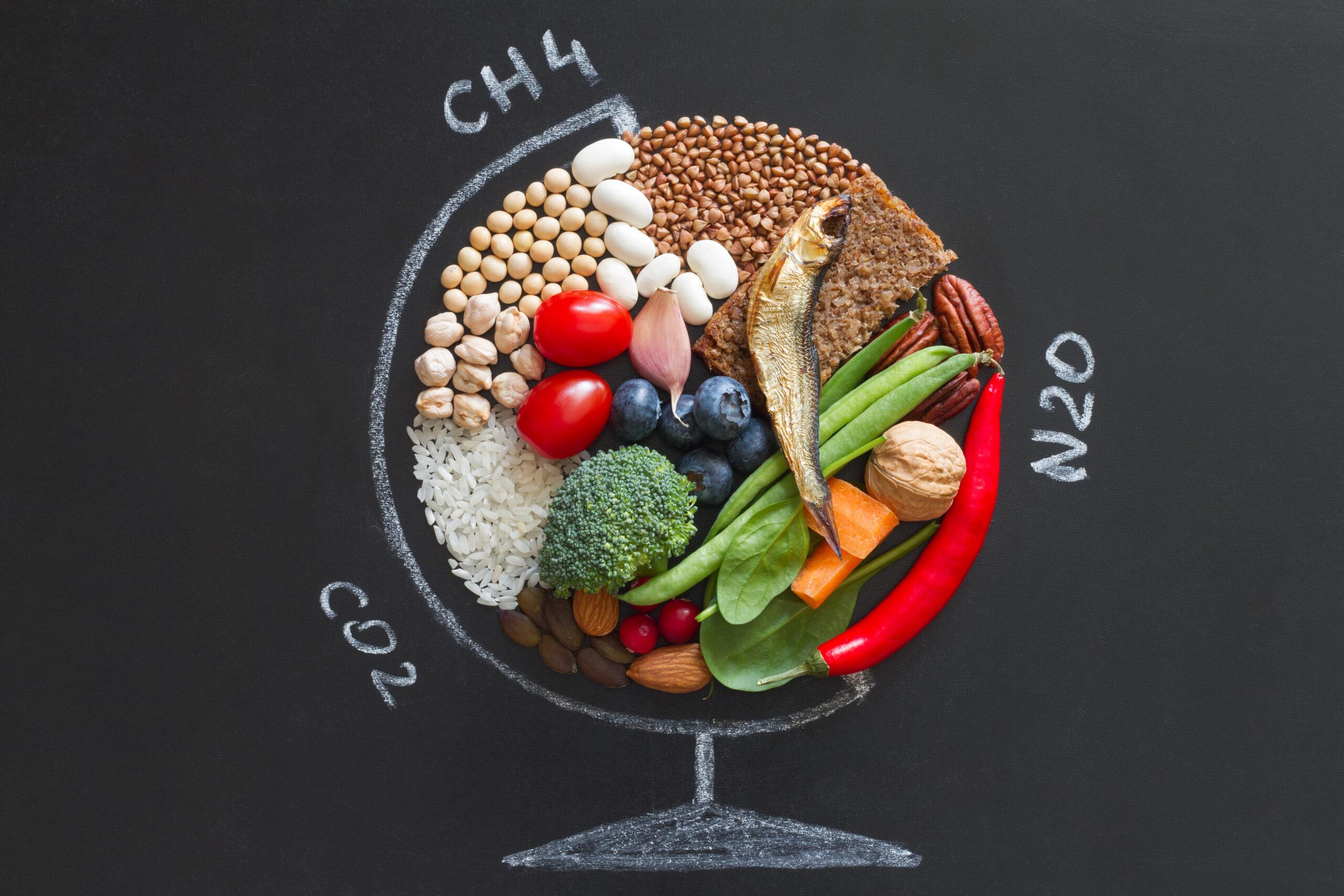 Globus vor schwarzem Hintergrund, der aus verschiedenen Lebensmitteln besteht, aus denen die Planetary Health Diet bestehen sollte.