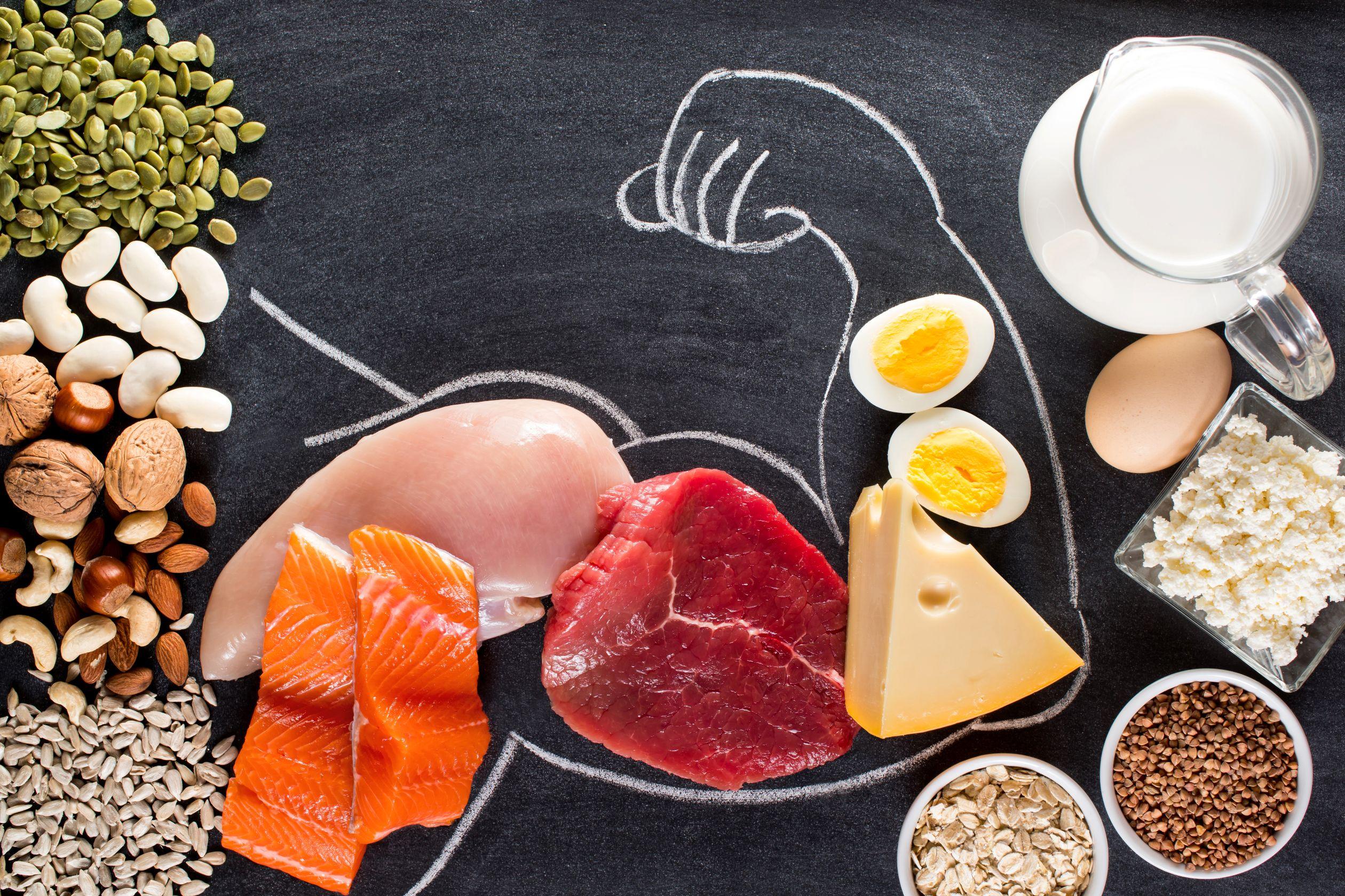 Verschiedene proteinreiche Lebensmittel vor schwarzem Hintergrund, auf den der Umriss eines muskulösen Arms gezeichnet wurde